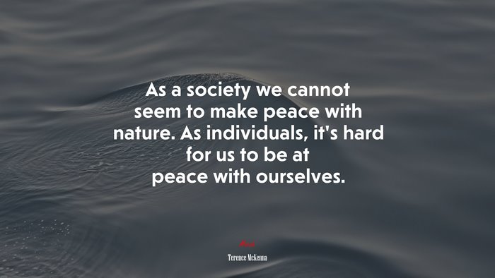 As a society we cannot seem to make peace with nature. As individuals, it’s hard for us to be at peace with ourselves. | Terence McKenna quote