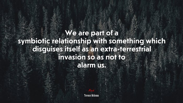 We are part of a symbiotic relationship with something which disguises itself as an extra-terrestrial invasion so as not to alarm us. | Terence McKenna quote