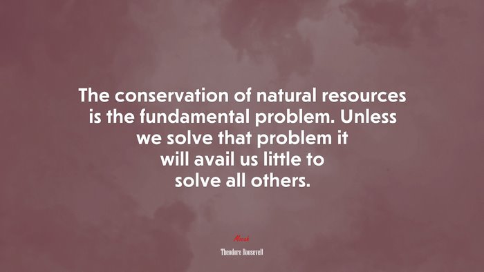 The conservation of natural resources is the fundamental problem. Unless we solve that problem it will avail us little to solve all others. | Theodore Roosevelt quote