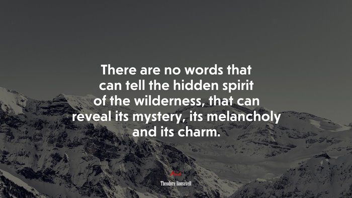 There are no words that can tell the hidden spirit of the wilderness, that can reveal its mystery, its melancholy and its charm. | Theodore Roosevelt quote