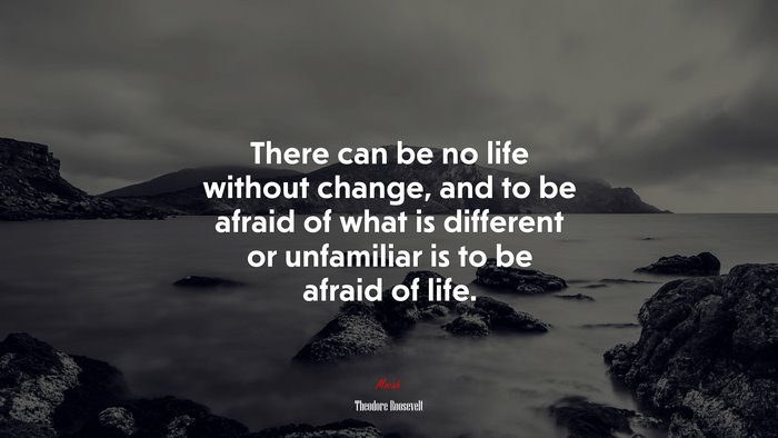 There can be no life without change, and to be afraid of what is different or unfamiliar is to be afraid of life. | Theodore Roosevelt quote
