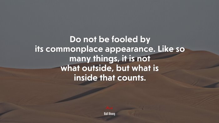 Do not be fooled by its commonplace appearance. Like so many things, it is not what outside, but what is inside that counts. | Walt Disney quote