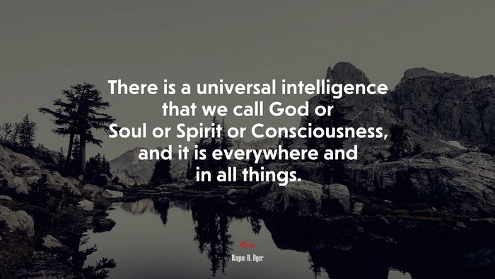 There is a universal intelligence that we call God or Soul or Spirit or Consciousness, and it is everywhere and in all things. | Wayne W. Dyer quote
