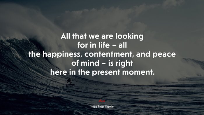 All that we are looking for in life – all the happiness, contentment, and peace of mind – is right here in the present moment. | Yongey Mingyur Rinpoche quote