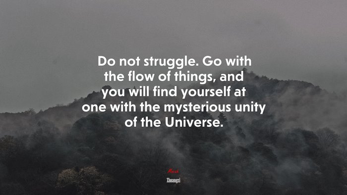 Do not struggle. Go with the flow of things, and you will find yourself at one with the mysterious unity of the Universe. | Zhuangzi quote