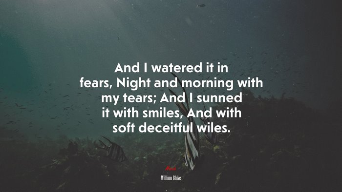 And I watered it in fears, Night and morning with my tears; And I sunned it with smiles, And with soft deceitful wiles. | William Blake quote