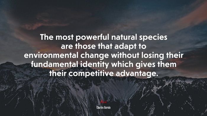 The most powerful natural species are those that adapt to environmental change without losing their fundamental identity which gives them their competitive advantage. | Charles Darwin quote