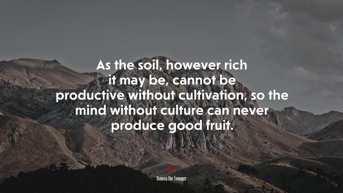 As the soil, however rich it may be, cannot be productive without cultivation, so the mind without culture can never produce good fruit. | Seneca the Younger quote