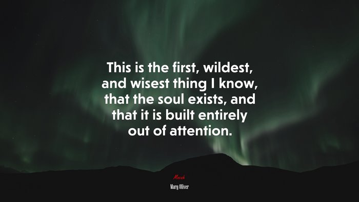 This is the first, wildest, and wisest thing I know, that the soul exists, and that it is built entirely out of attention. | Mary Oliver quote