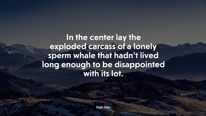 In the center lay the exploded carcass of a lonely sperm whale that hadn’t lived long enough to be disappointed with its lot. | Douglas Adams quote