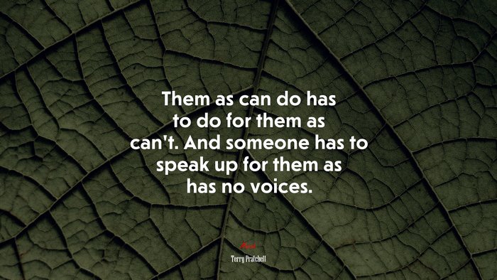 Them as can do has to do for them as can’t. And someone has to speak up for them as has no voices. | Terry Pratchett quote