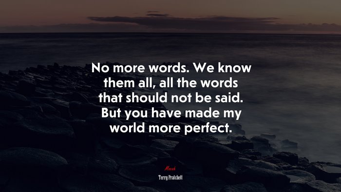 No more words. We know them all, all the words that should not be said. But you have made my world more perfect. | Terry Pratchett quote
