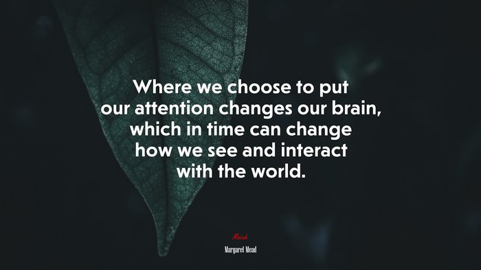 Where we choose to put our attention changes our brain, which in time can change how we see and interact with the world. | Margaret Mead quote