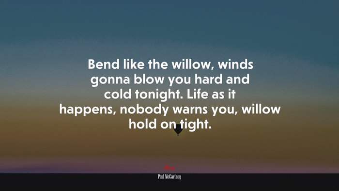 Bend like the willow, winds gonna blow you hard and cold tonight. Life as it happens, nobody warns you, willow hold on tight. | Paul McCartney quote