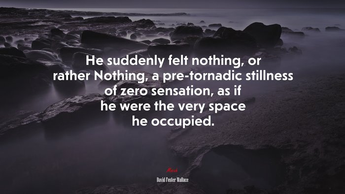 He suddenly felt nothing, or rather Nothing, a pre-tornadic stillness of zero sensation, as if he were the very space he occupied. | David Foster Wallace quote