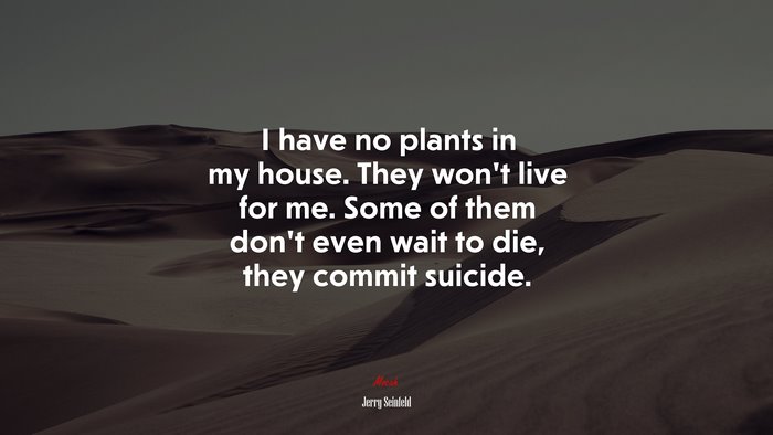 I have no plants in my house. They won’t live for me. Some of them don’t even wait to die, they commit suicide. | Jerry Seinfeld quote