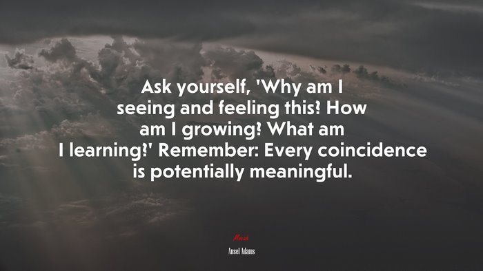 Ask yourself, ‘Why am I seeing and feeling this? How am I growing? What am I learning?’ Remember: Every coincidence is potentially meaningful. | Ansel Adams quote