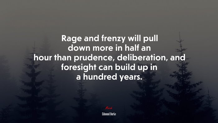 Rage and frenzy will pull down more in half an hour than prudence, deliberation, and foresight can build up in a hundred years. | Edmund Burke quote