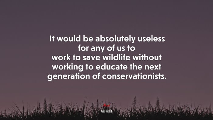 It would be absolutely useless for any of us to work to save wildlife without working to educate the next generation of conservationists. | Jane Goodall quote
