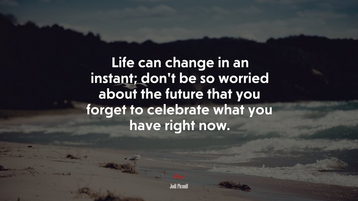 Life can change in an instant; don’t be so worried about the future that you forget to celebrate what you have right now. | Jodi Picoult quote