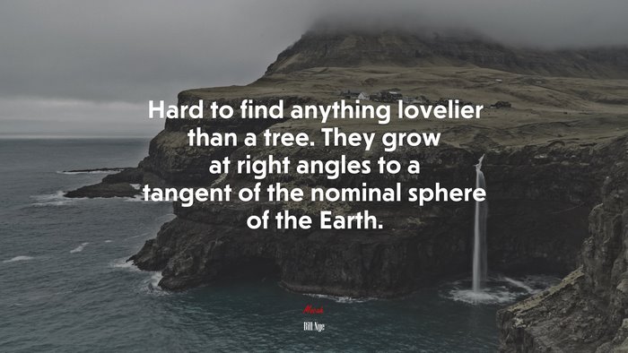 Hard to find anything lovelier than a tree. They grow at right angles to a tangent of the nominal sphere of the Earth. | Bill Nye quote