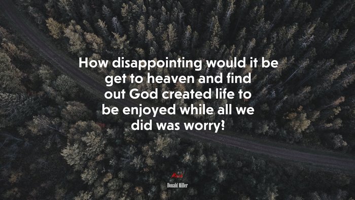How disappointing would it be get to heaven and find out God created life to be enjoyed while all we did was worry? | Donald Miller quote