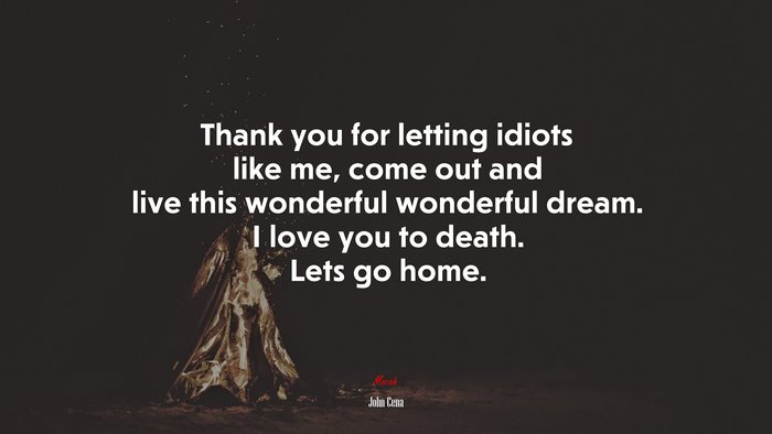Thank you for letting idiots like me, come out and live this wonderful wonderful dream. I love you to death. Lets go home. | John Cena quote