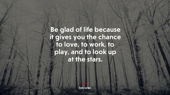 Be glad of life because it gives you the chance to love, to work, to play, and to look up at the stars. | Henry van Dyke quote