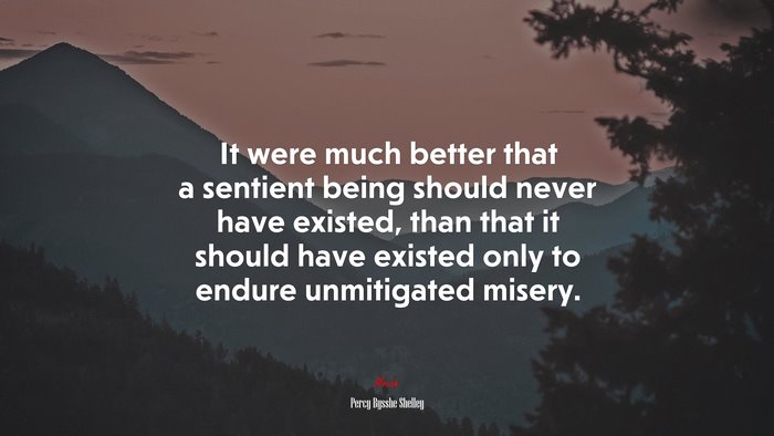 It were much better that a sentient being should never have existed, than that it should have existed only to endure unmitigated misery. | Percy Bysshe Shelley quote