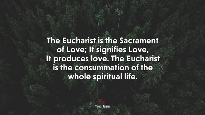 The Eucharist is the Sacrament of Love; It signifies Love, It produces love. The Eucharist is the consummation of the whole spiritual life. | Thomas Aquinas quote