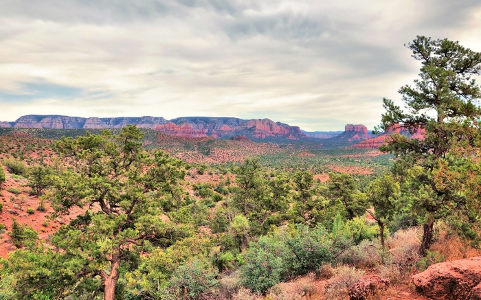 Red Rock Canyon Landscape with Trees and Mountains