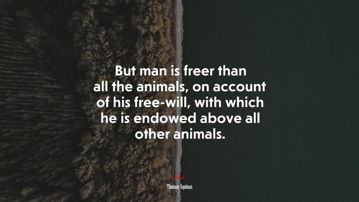 But man is freer than all the animals, on account of his free-will, with which he is endowed above all other animals. | Thomas Aquinas quote