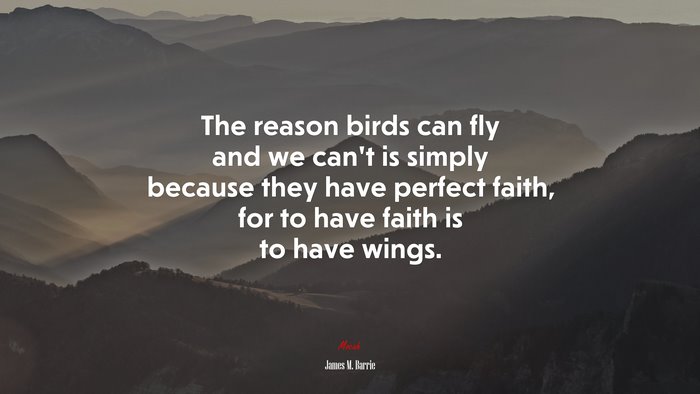 The reason birds can fly and we can’t is simply because they have perfect faith, for to have faith is to have wings. | James M. Barrie quote