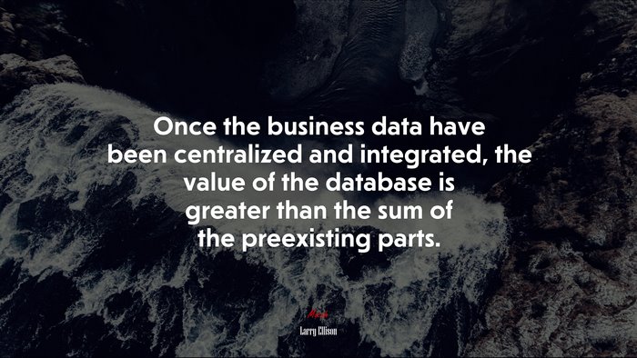 Once the business data have been centralized and integrated, the value of the database is greater than the sum of the preexisting parts. | Larry Ellison quote