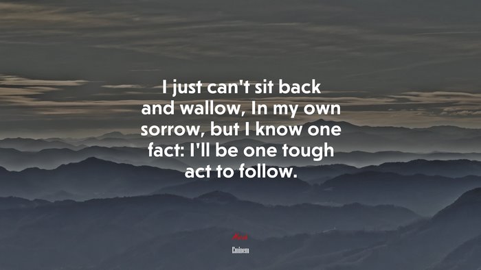 I just can’t sit back and wallow, In my own sorrow, but I know one fact: I’ll be one tough act to follow. | Eminem quote