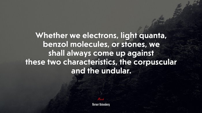 Whether we electrons, light quanta, benzol molecules, or stones, we shall always come up against these two characteristics, the corpuscular and the undular. | Werner Heisenberg quote
