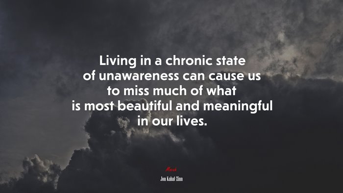 Living in a chronic state of unawareness can cause us to miss much of what is most beautiful and meaningful in our lives. | Jon Kabat-Zinn quote