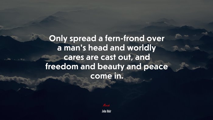 Only spread a fern-frond over a man’s head and worldly cares are cast out, and freedom and beauty and peace come in. | John Muir quote