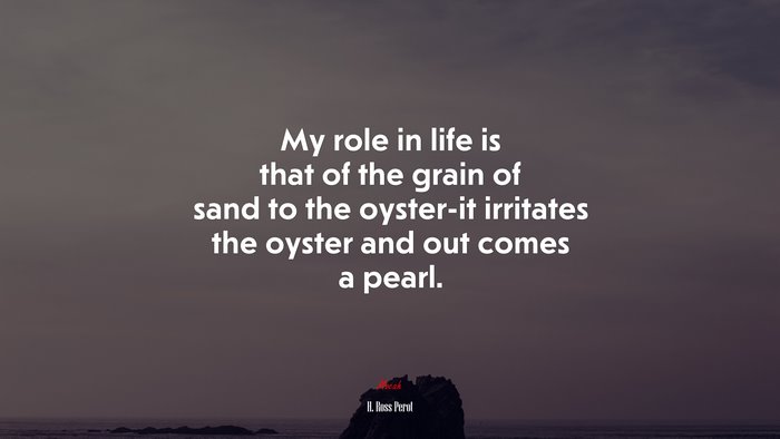 My role in life is that of the grain of sand to the oyster-it irritates the oyster and out comes a pearl. | H. Ross Perot quote