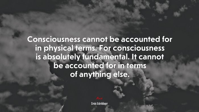 Consciousness cannot be accounted for in physical terms. For consciousness is absolutely fundamental. It cannot be accounted for in terms of anything else. | Erwin Schrödinger quote