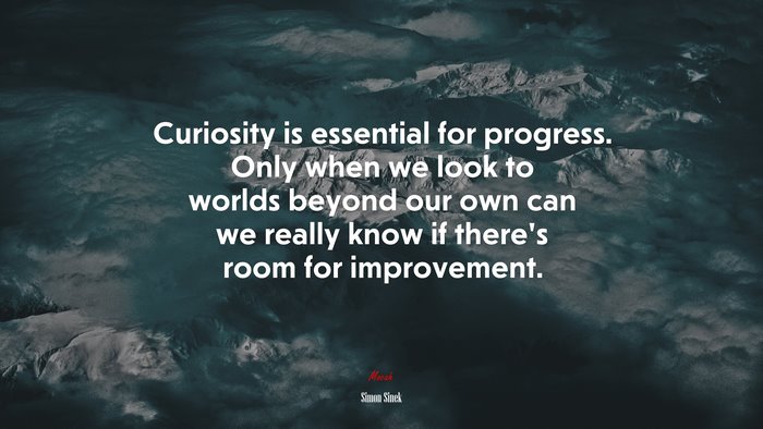 Curiosity is essential for progress. Only when we look to worlds beyond our own can we really know if there’s room for improvement. | Simon Sinek quote