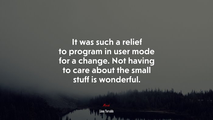 It was such a relief to program in user mode for a change. Not having to care about the small stuff is wonderful. | Linus Torvalds quote