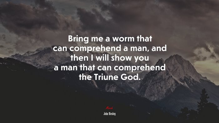 Bring me a worm that can comprehend a man, and then I will show you a man that can comprehend the Triune God. | John Wesley quote