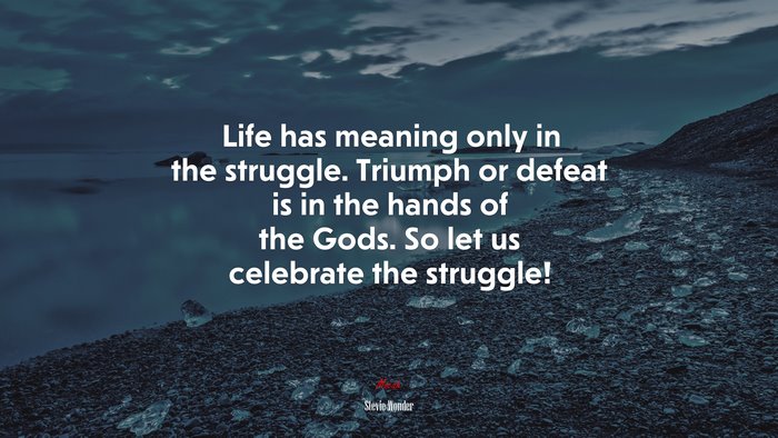 Life has meaning only in the struggle. Triumph or defeat is in the hands of the Gods. So let us celebrate the struggle! | Stevie Wonder quote