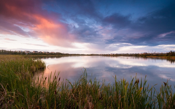 Sunset over a calm lake with reeds and distant houses