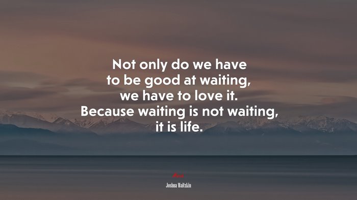 Not only do we have to be good at waiting, we have to love it. Because waiting is not waiting, it is life. | Joshua Waitzkin quote