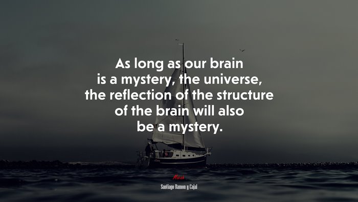 As long as our brain is a mystery, the universe, the reflection of the structure of the brain will also be a mystery. | Santiago Ramón y Cajal quote