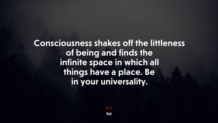 Consciousness shakes off the littleness of being and finds the infinite space in which all things have a place. Be in your universality. | Mooji quote