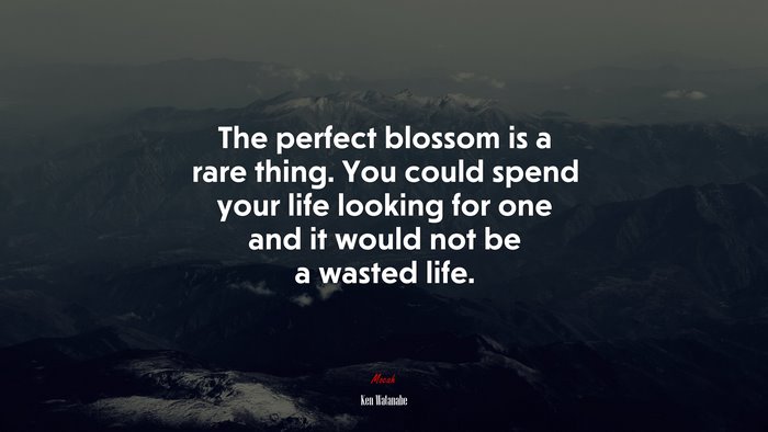 The perfect blossom is a rare thing. You could spend your life looking for one and it would not be a wasted life. | Ken Watanabe quote