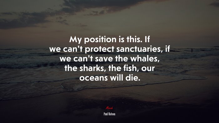 My position is this. If we can’t protect sanctuaries, if we can’t save the whales, the sharks, the fish, our oceans will die. | Paul Watson quote